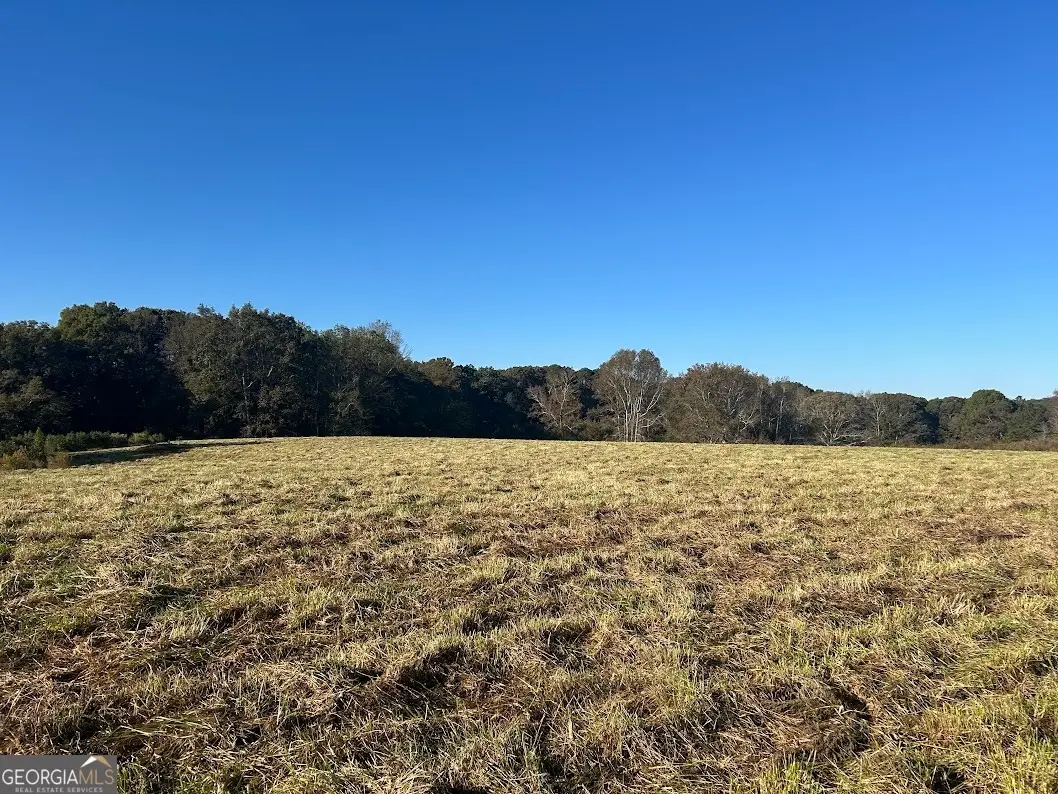 0 Old Columbus Road, Bowdon, GA 30108 - #1
