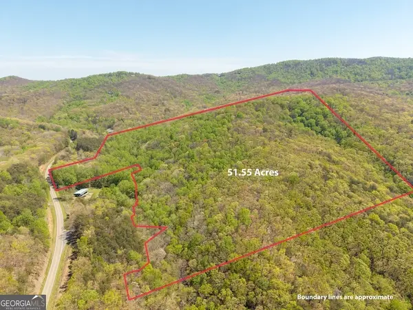 0 Burnt Mountain Road, Ellijay, GA 30536