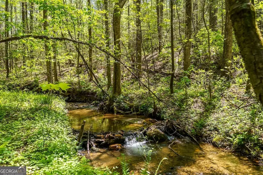 0 Burnt Mountain Road, Ellijay, GA 30536 - #2