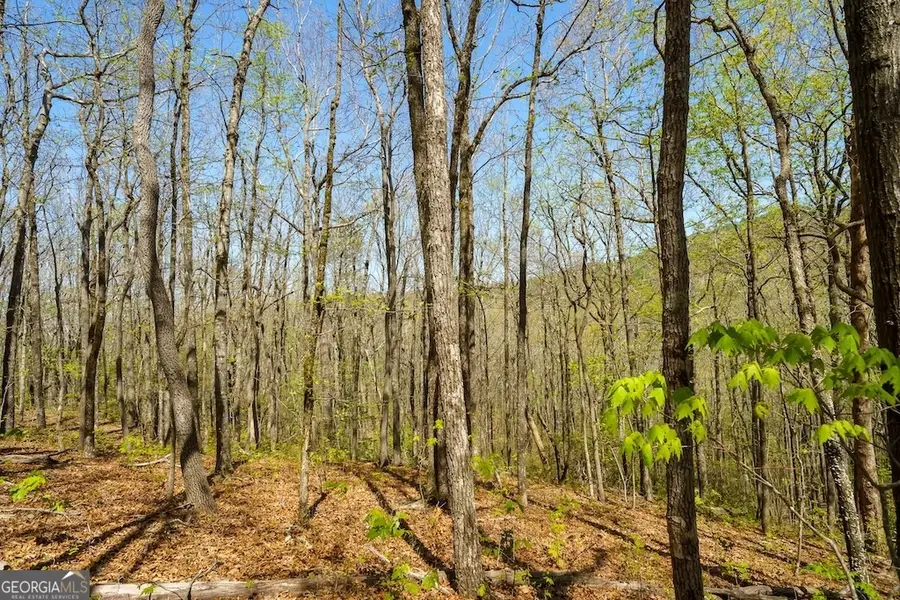 0 Burnt Mountain Road, Ellijay, GA 30536 - #3
