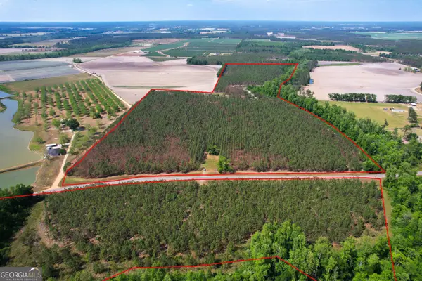 0 County Farm Road, Baxley, GA 31513