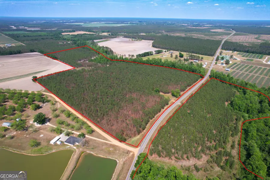 0 County Farm Road, Baxley, GA 31513 - #3