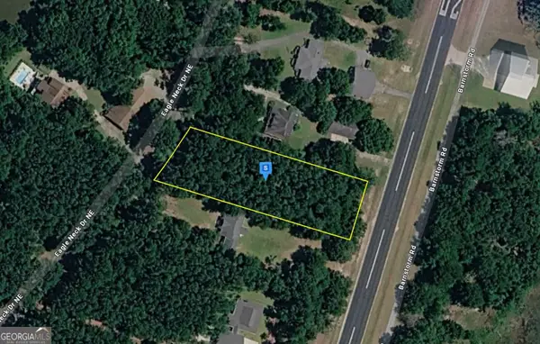 69 Eagle Neck Drive, Townsend, GA 31331