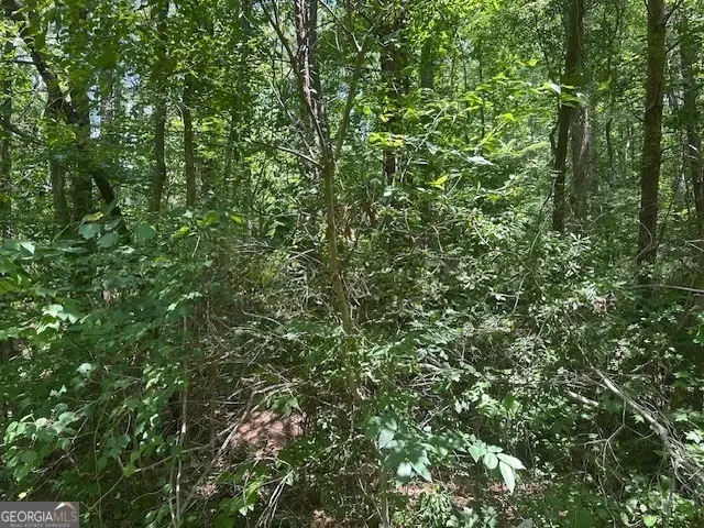 57 Dogwood Trail, Martin, GA 30557 - #2