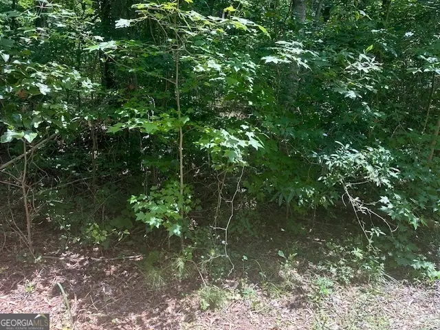 57 Dogwood Trail, Martin, GA 30557 - #3