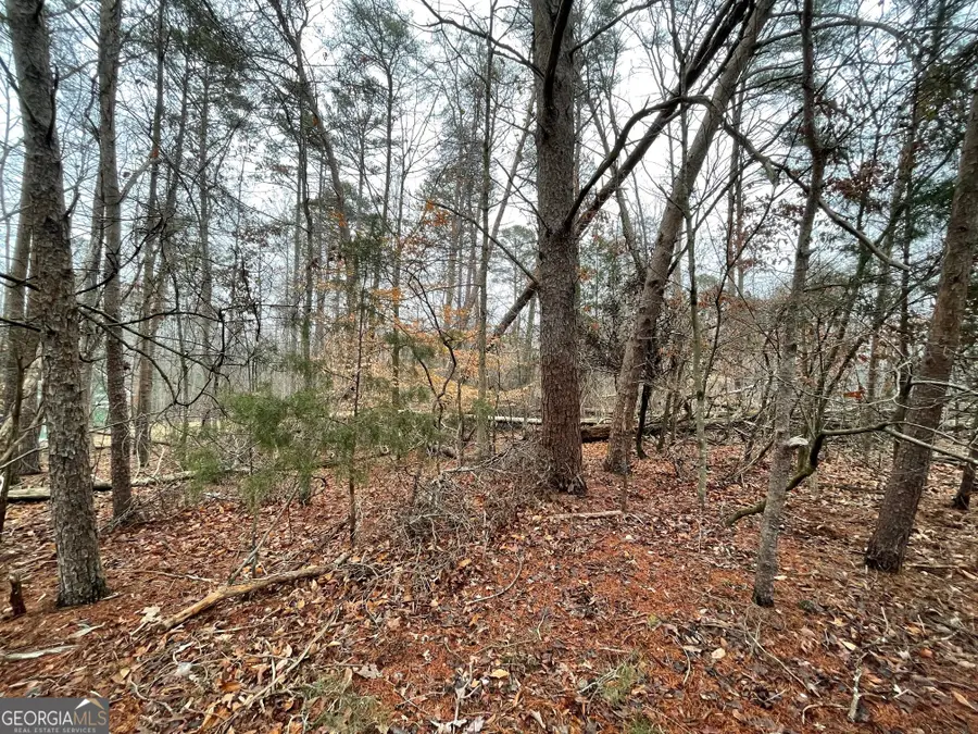LOT 840-841 Player Lane, Westminster, SC 29693 - #2