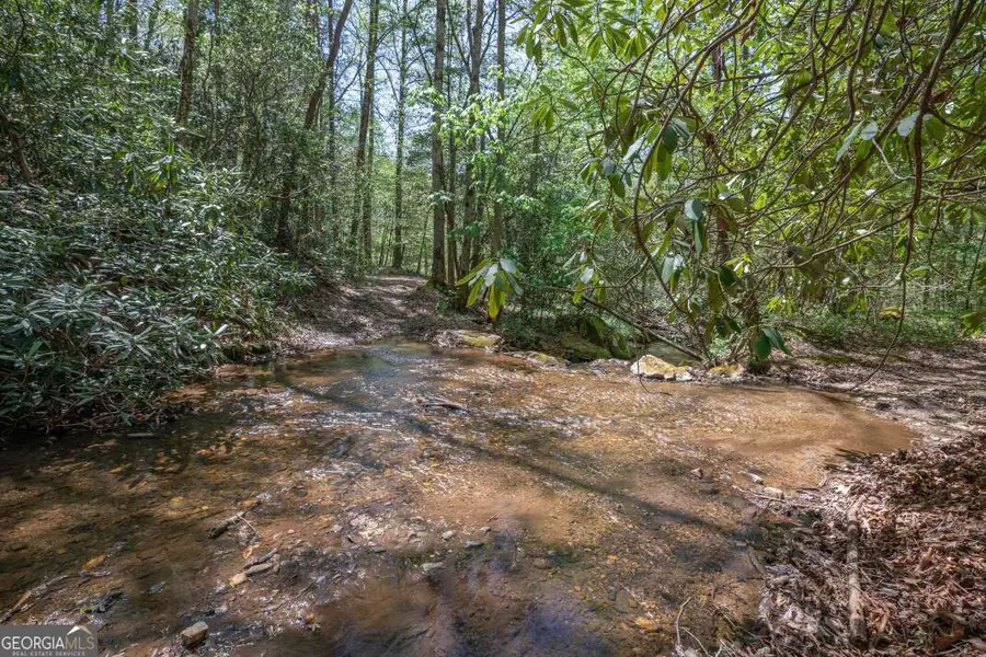 7904 Mr Bert Road, Hiawassee, GA 30546 - #3