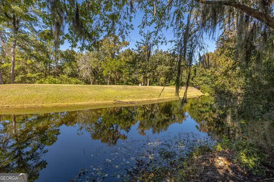 3 Bay Tree Court W, Saint Simons, GA 31522 - #3