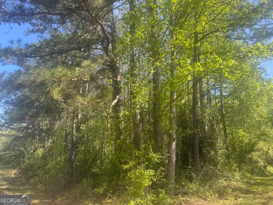 0 Satterwhite Street, Roanoke, AL 36274 - #3