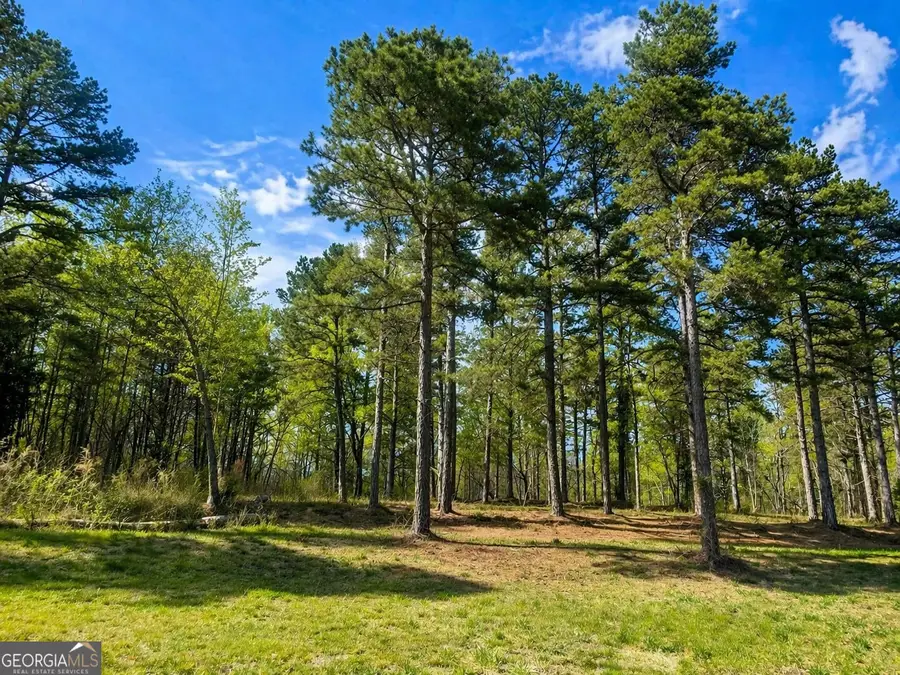 575 Hardy Road, Martin, GA 30557 - #2