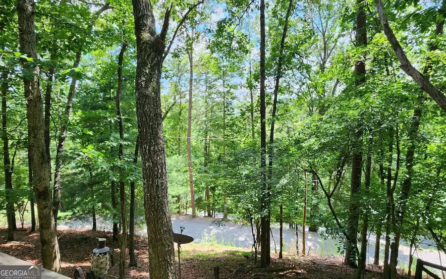 146 7th Street, Ellijay, GA 30540 - #3