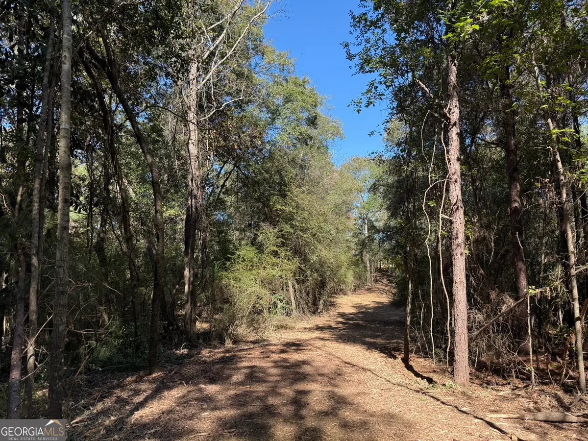 GH Wallace Buie Road, Webb, AL 36376 - #1