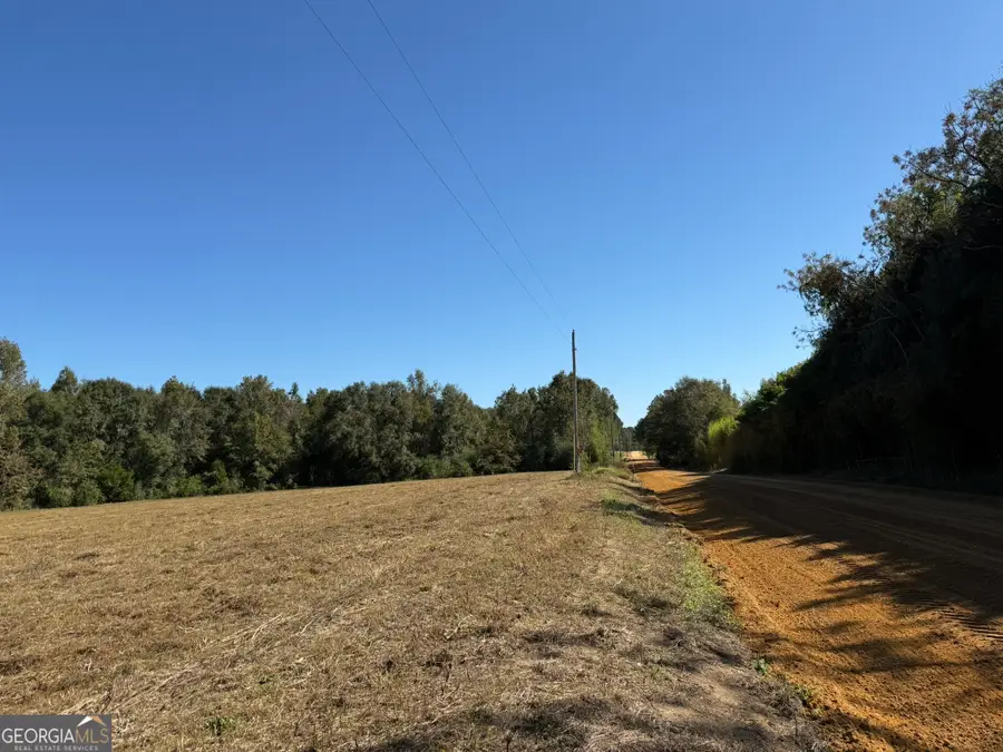 GH Wallace Buie Road, Webb, AL 36376 - #2