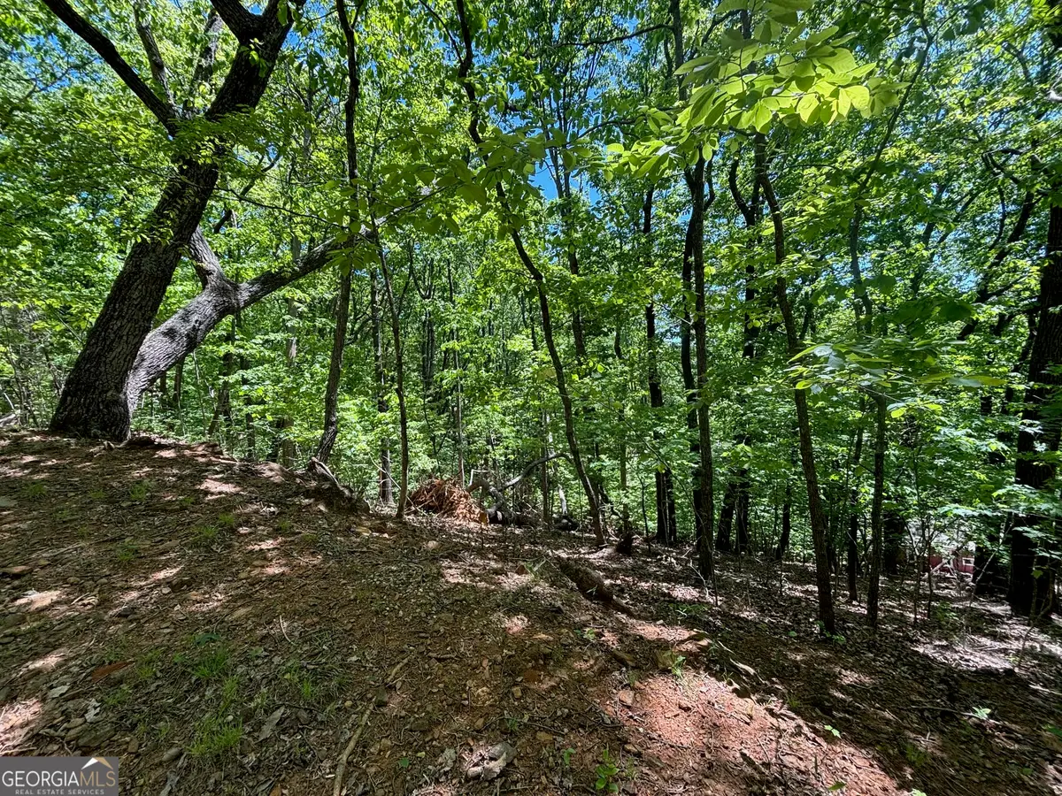 0 Lookout Ridge Road #11, Cleveland, GA 30528 - #1