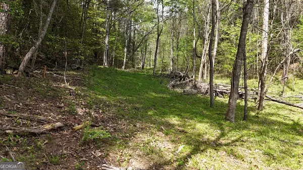 0 Holly Road, Murphy, NC 28906