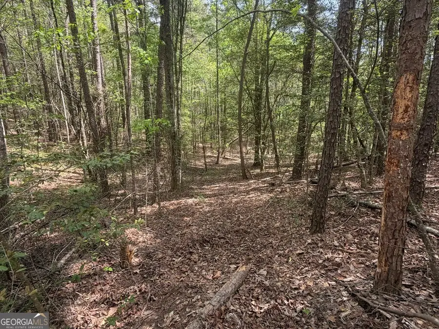 0 Holly Road, Murphy, NC 28906 - #2