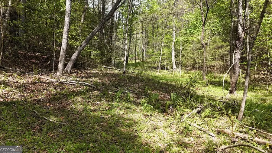 0 Holly Road, Murphy, NC 28906 - #3