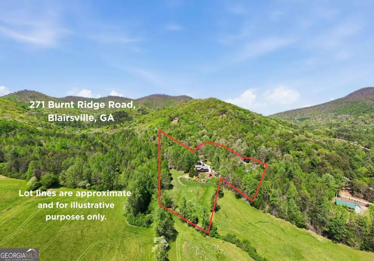 271 Burnt Ridge Road, Blairsville, GA 30512 - #1