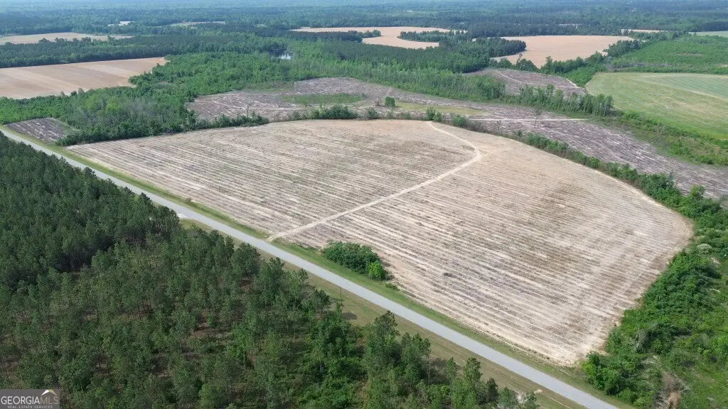 0 Bunn Store Road #TRACT 4, Midville, GA 30441 - #1
