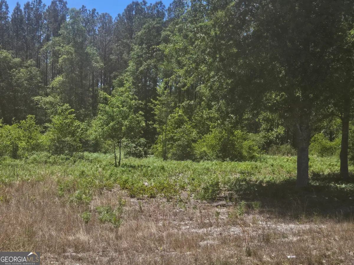 0 Edgar Lane Road, Millen, GA 30442 - #1