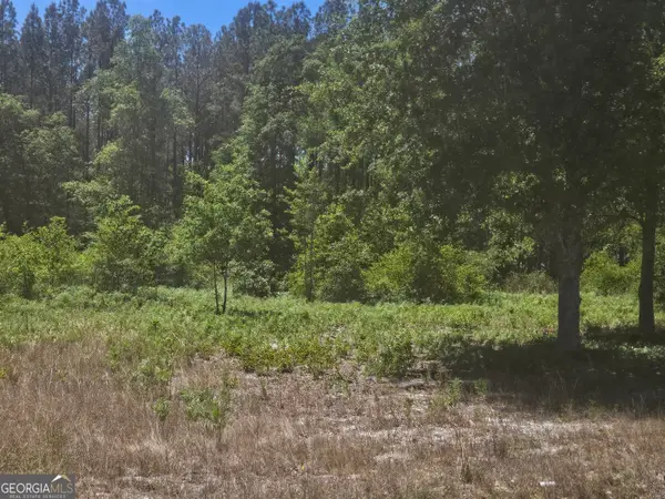 0 Edgar Lane Road, Millen, GA 30442