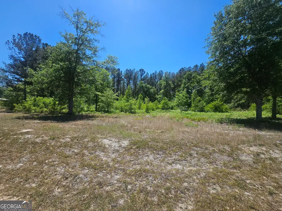 0 Edgar Lane Road, Millen, GA 30442 - #2