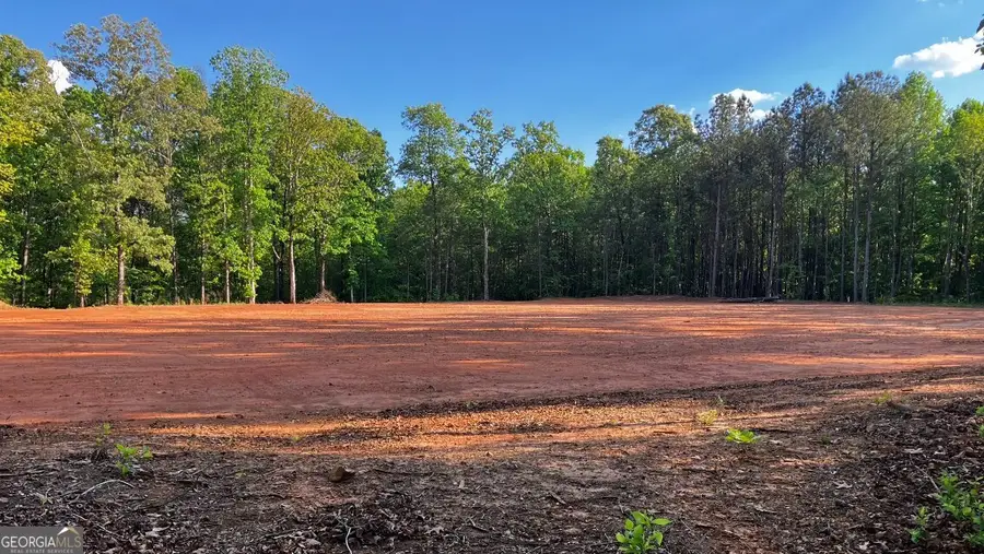0 Kelly Bridge Road, Dawsonville, GA 30534 - #3