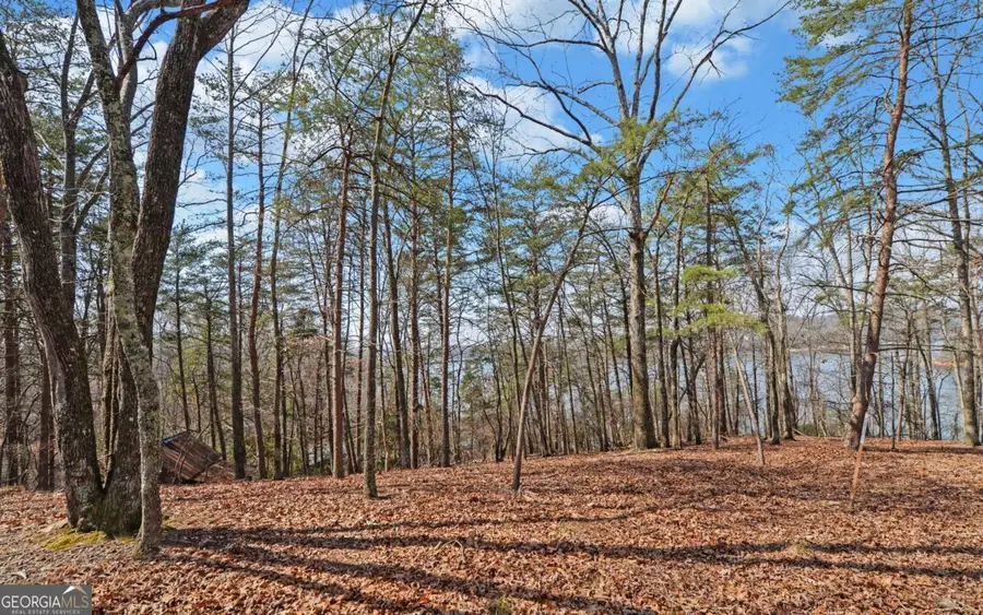 2290 Boy Scout Camp Road, Gainesville, GA 30501 - #3