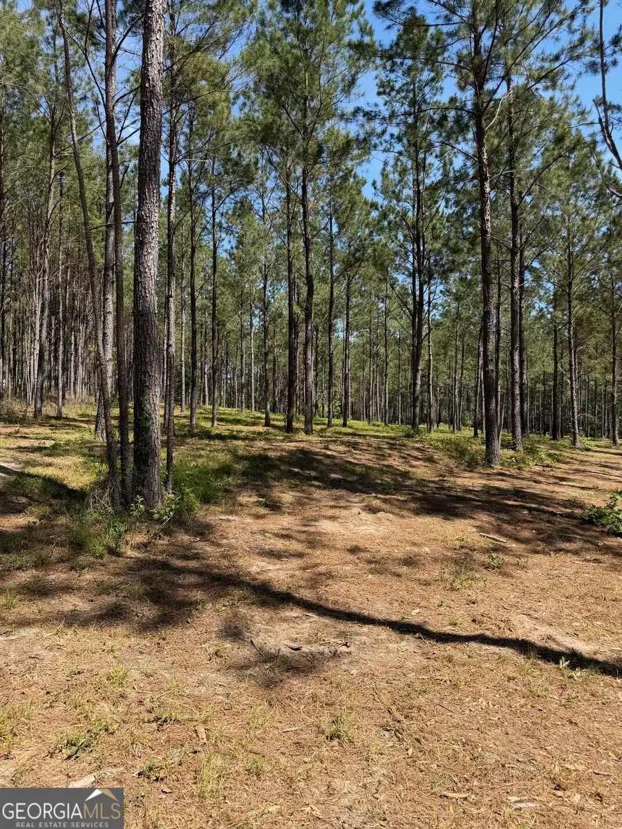 12 ACRES Collins Road, Cairo, GA 39828 - #2