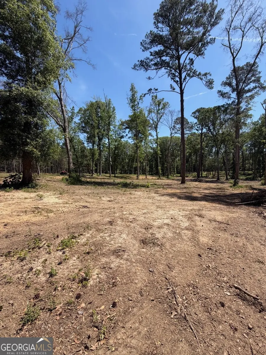 12 ACRES Collins Road, Cairo, GA 39828 - #3