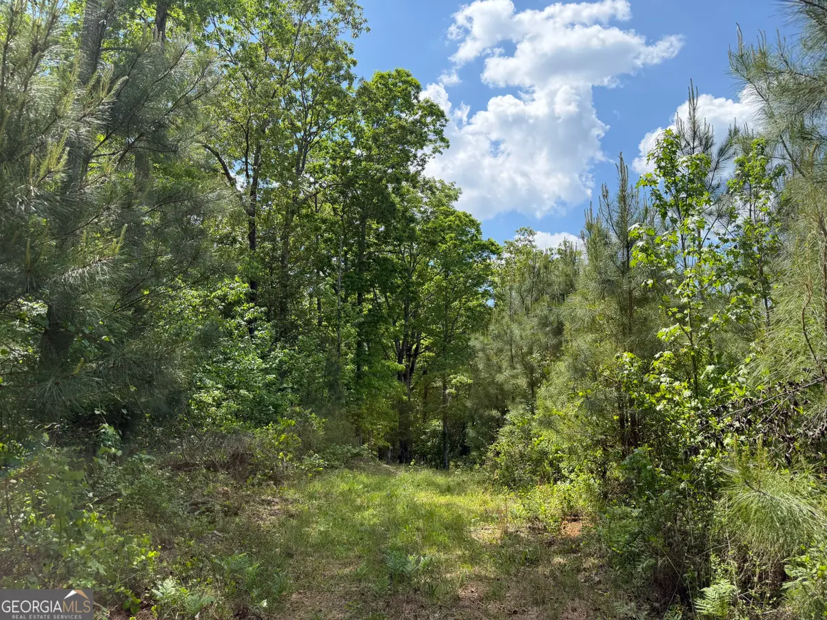 014 George Milling Rd, Cuthbert, GA 39840 - #1