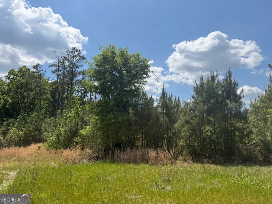 014 George Milling Rd, Cuthbert, GA 39840 - #3
