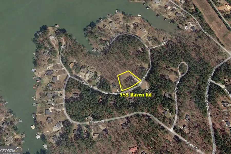 585 Raven Road #LOTS 133 & 134, Monticello, GA 31064 - #3