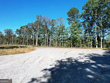 800 Hairl Lake Road, Summerville, GA 30747 - #2