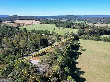 800 Hairl Lake Road, Summerville, GA 30747 - #3