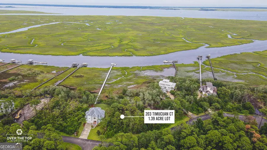 203 Timucuan Court, Saint Marys, GA 31558 - #3