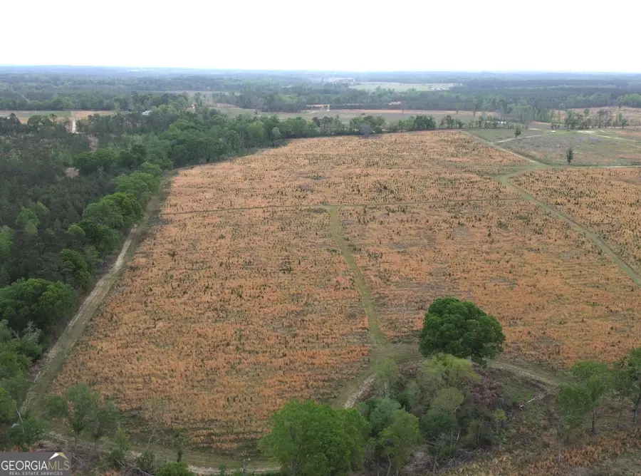 006 Beulah Road Tract 6, Sylvania, GA 30467 - #2