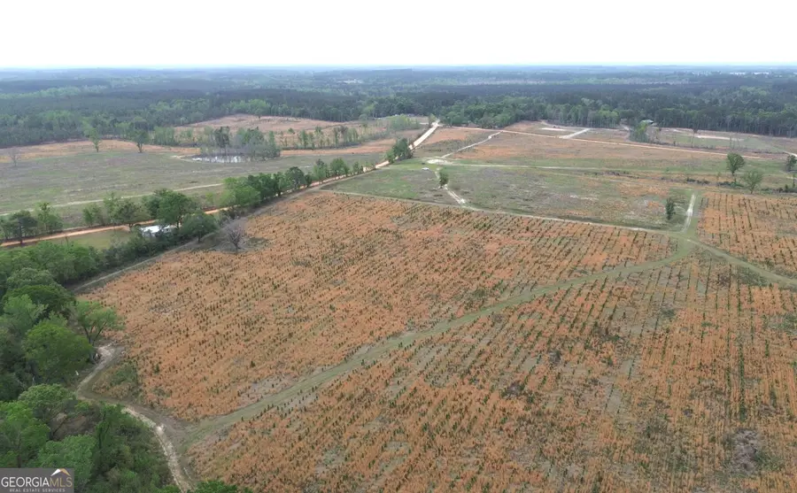 006 Beulah Road Tract 6, Sylvania, GA 30467 - #3
