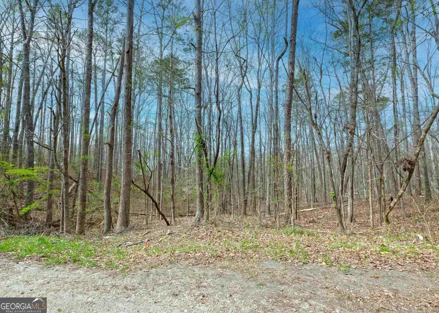 0 Lake View Drive, Lavonia, GA 30553 - #3