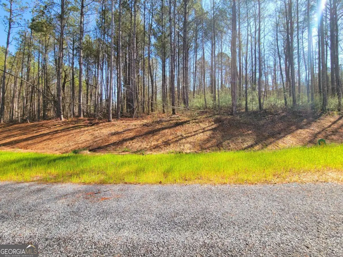 68 Mountaingate Way, Ellijay, GA 30536 - #1