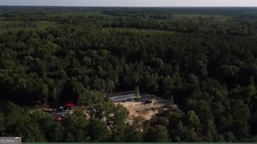 1667 Richard Moore Road, Dublin, GA 31021 - #3