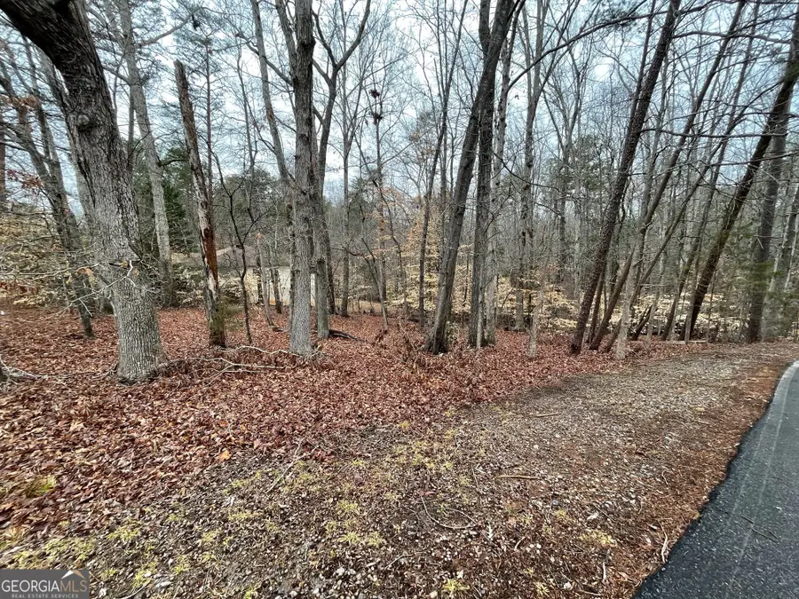 LOT 43 Chickasaw Drive, Westminster, SC 29693 - #3