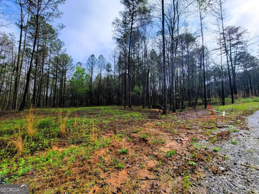 191 Mountaingate Way, Ellijay, GA 30536 - #2