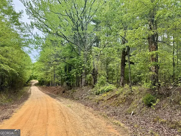 1085 Roy Lawrence Road, Sparta, GA 31087