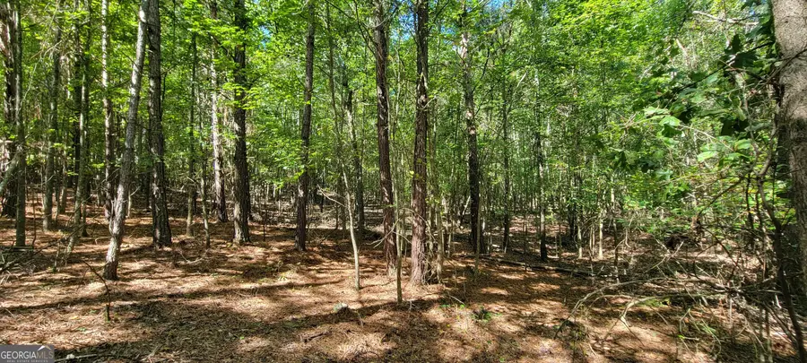 5 Ripplewood Trail, Euharlee, GA 30145 - #3