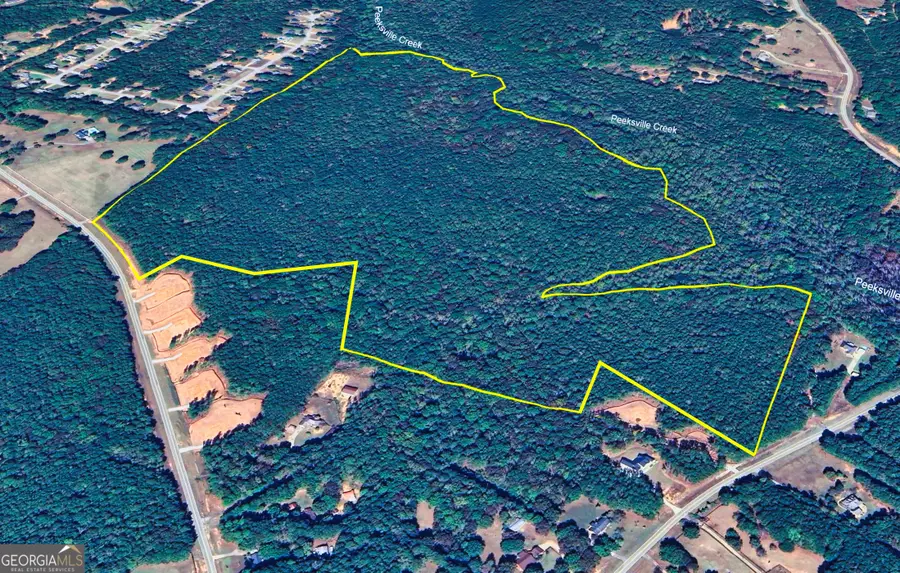 0 New Hope Road, Locust Grove, GA 30248 - #2