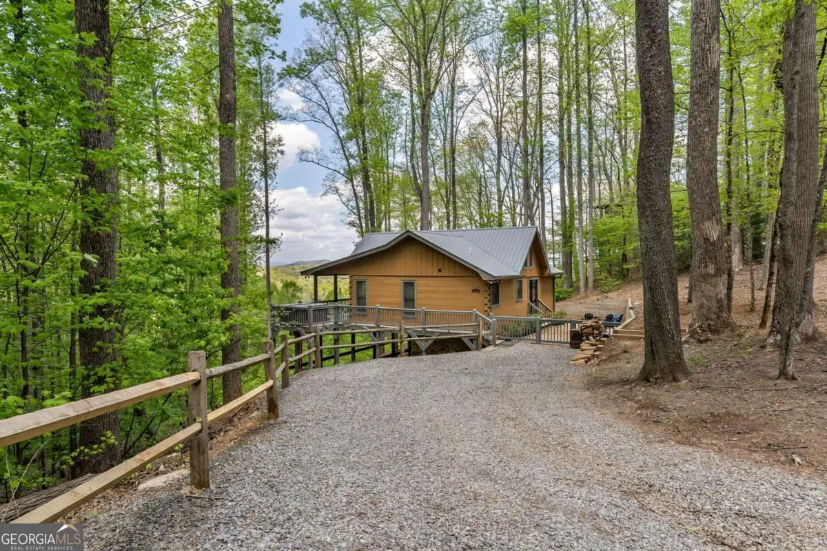 431 Little Bushy Head Road, Blue Ridge, GA 30513 - #1