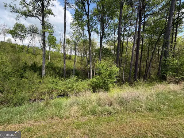 238 Lecroy Drive, Ellijay, GA 30540