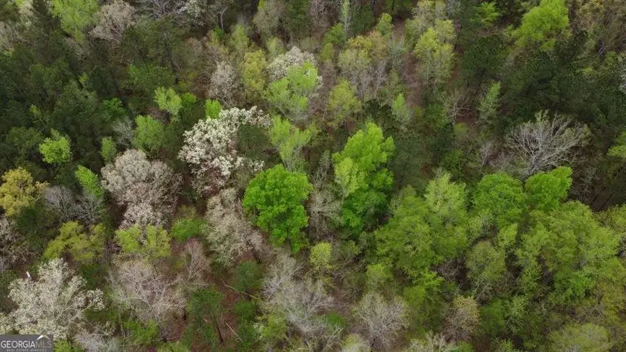LOT #1 Frontier Shores Road, Sparta, GA 31087 - #2