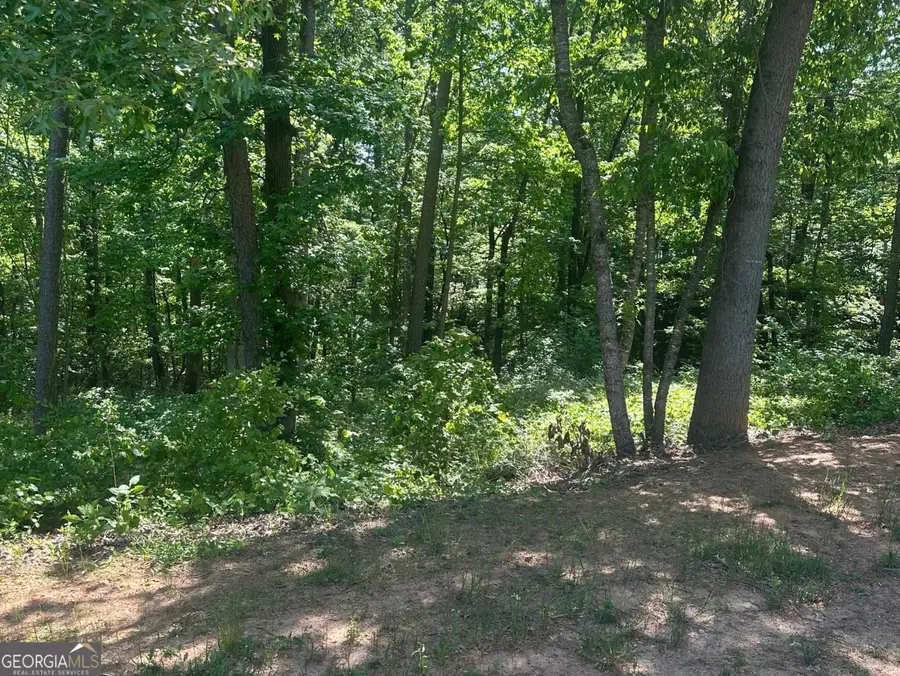 0 Hammers Glen Drive #LOT 10, Homer, GA 30547 - #2